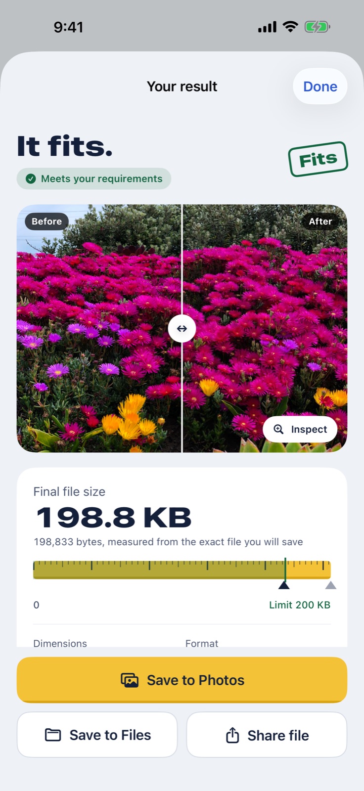 PicToSize result screen: It fits. A 2.8 MB photo saved as 198.8 KB, under a 200 KB limit, with a before and after comparison.